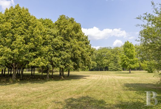 A Directoire style château surrounded by woods in the south of the Loiret department at Bonny-sur-Loire - photo  n°39
